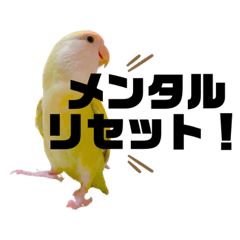 [LINEスタンプ] コザクラインコのマロン④