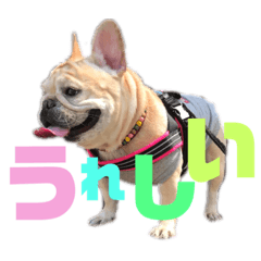 [LINEスタンプ] フレブルふぁむちⅣ