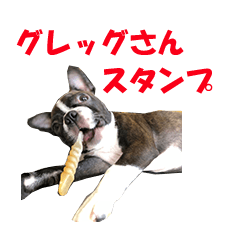 [LINEスタンプ] グレッグのスタンプ