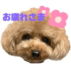 [LINEスタンプ] 愛望ちゃんスタンプ