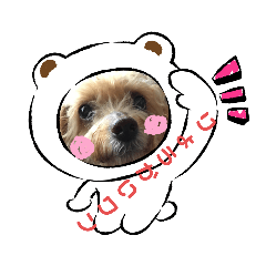 [LINEスタンプ] わんだふぉーハルヒ