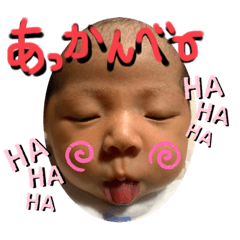 [LINEスタンプ] らっこちんスタンプ