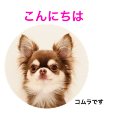[LINEスタンプ] コムラのためのマロスタンプ