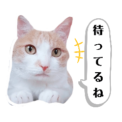 [LINEスタンプ] でぶれおにゃん3