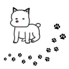 [LINEスタンプ] 白い犬の日常スタンプの画像（メイン）