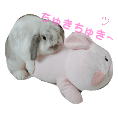 [LINEスタンプ] うさぎのメルちゃんの日常