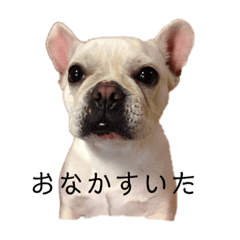 [LINEスタンプ] じゅりのきもち。