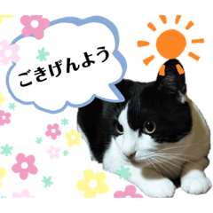 [LINEスタンプ] 前田家の仲間達