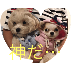 [LINEスタンプ] まーちゃんとしーちゃんスタンプ