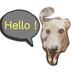 [LINEスタンプ] IG モネホーク