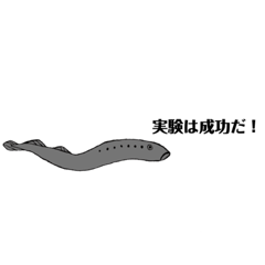 [LINEスタンプ] かわいいヤツメウナギ