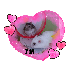 [LINEスタンプ] ハムすたんぷ5
