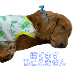 [LINEスタンプ] まはろはろ