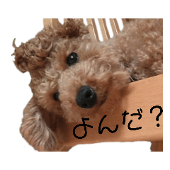[LINEスタンプ] うちの子リリー