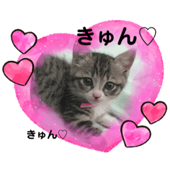 [LINEスタンプ] モカちゃん(*ฅ́˘ฅ̀*)