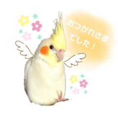 [LINEスタンプ] スタンプぴゅーちゃん