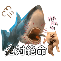 [LINEスタンプ] ポメチワふうた 2