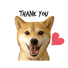 [LINEスタンプ] こうたくん3