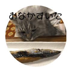 [LINEスタンプ] みんとさんのスタンプ