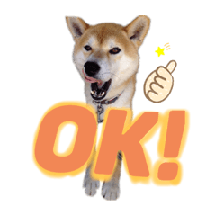 [LINEスタンプ] まるすけワールド