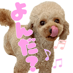 [LINEスタンプ] もわ日和♡2