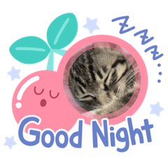 [LINEスタンプ] ちぃくんの日常