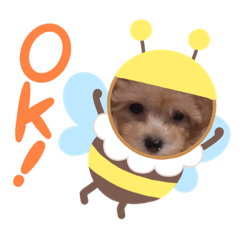 [LINEスタンプ] シエル☺︎