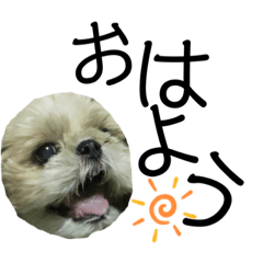 [LINEスタンプ] かぼすタンプ♡