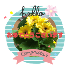 [LINEスタンプ] 綺麗な画像で感謝や励まし