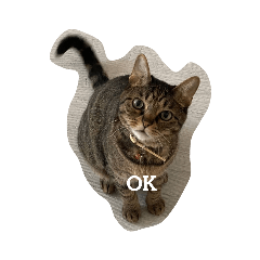 [LINEスタンプ] 生き物たちのスタンプ0