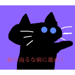 [LINEスタンプ] 可愛い猫の毒舌スタンプ