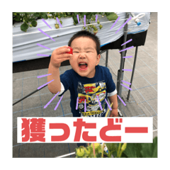[LINEスタンプ] tmhrスタンプ