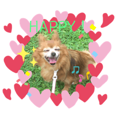 [LINEスタンプ] ラブリーはなちゃん❤️
