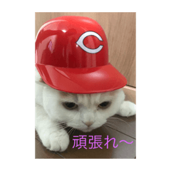 [LINEスタンプ] ハチ1
