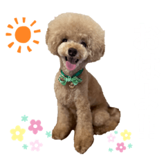 [LINEスタンプ] PIASU★