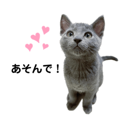 [LINEスタンプ] viviすた①