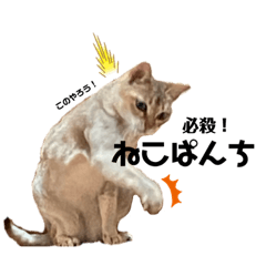 [LINEスタンプ] 自由気ままなシンガプーラのかりんちゃん