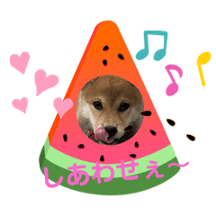 [LINEスタンプ] きな子はんの日常第6弾