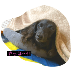 [LINEスタンプ] じんらん