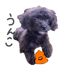 [LINEスタンプ] たら助さん。