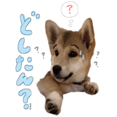 [LINEスタンプ] マヨすたんぷ！