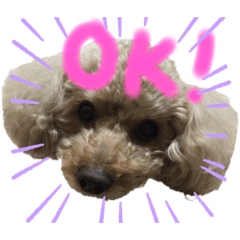 [LINEスタンプ] ぼく、ミルキー！②