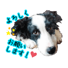 [LINEスタンプ] ぼ〜スタンプ