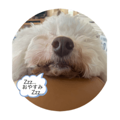 [LINEスタンプ] coco＆マロン