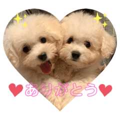 [LINEスタンプ] わんちゃんズ❤️2