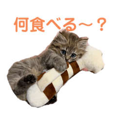 [LINEスタンプ] こまちよ