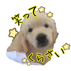 [LINEスタンプ] 笑平くんスタンプ