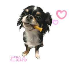 [LINEスタンプ] らいむの日常1