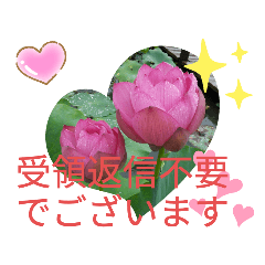 [LINEスタンプ] 小野氏スタンプ