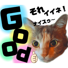 [LINEスタンプ] ゆっくり(つ´∀｀)つ